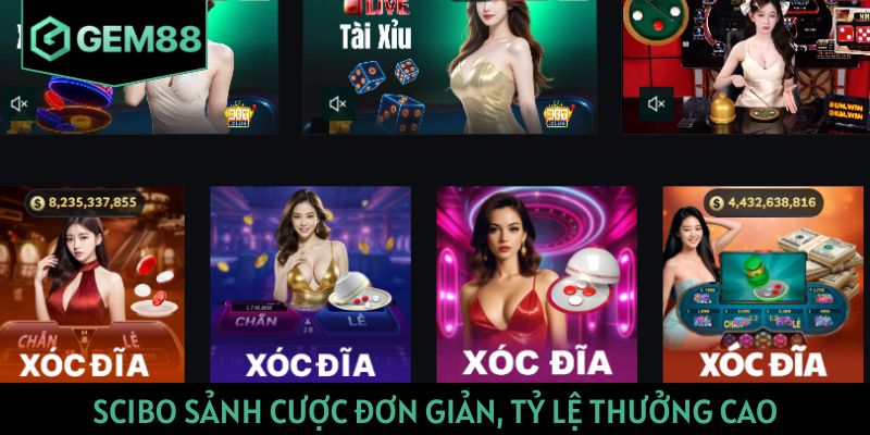 Scibo sảnh cược đơn giản, tỷ lệ thưởng cao